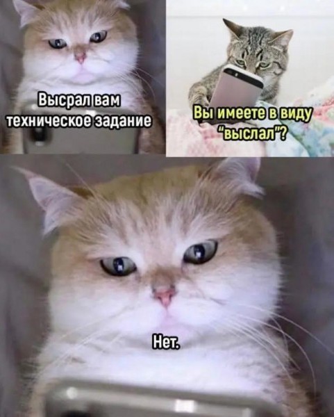 Картинки от Scodero 5