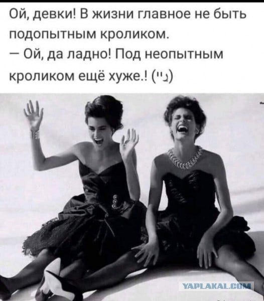 «Вот теперь ты мужчина», — сказала она, радостно схватив его за палку