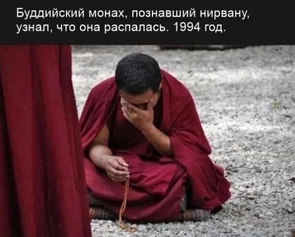 18403290.jpg