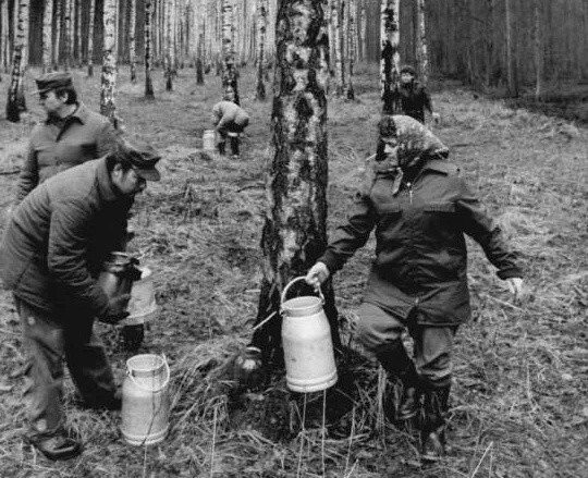 Фотографии из прошлого нашей страны - 58