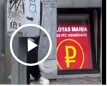 Красота спасёт мир!