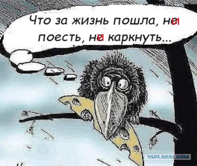 Картинки разные с надписями и без