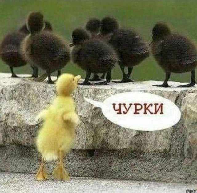 Из мира деградации - 14