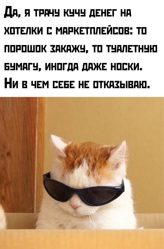 Весёлый полтишок 27.02.2025