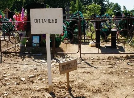 В России хотят бесплатно выдавать землю семейным парам с ребёнком после 10 лет брака