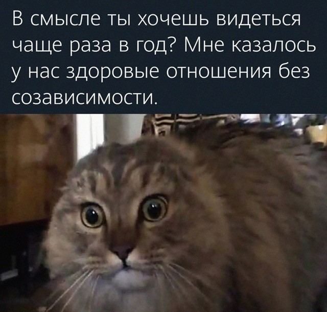 Картинки для деградации 54 (разной степени свежести)