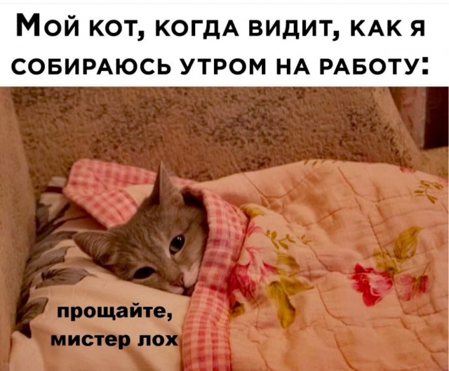 Воскресные картинки