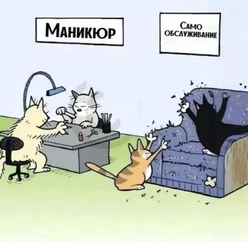 Картиночки, баянчики 10 апреля