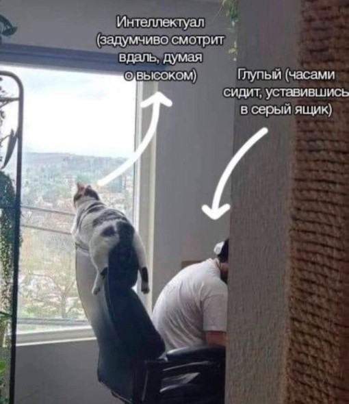 Картиночки, баянчики 27 июня