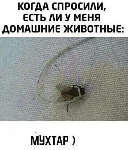 КАА