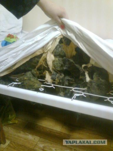 Детская больница на Луганщине похожа на СИЗО
