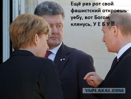 Похоже он его боится