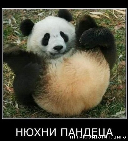 Демотиваторов пост, добавляйте свои