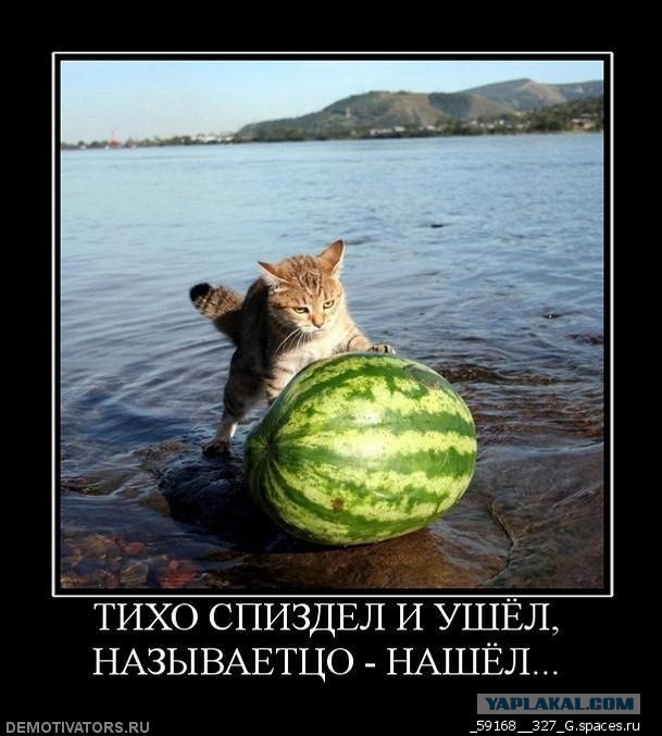 ЯП 1 000 000
