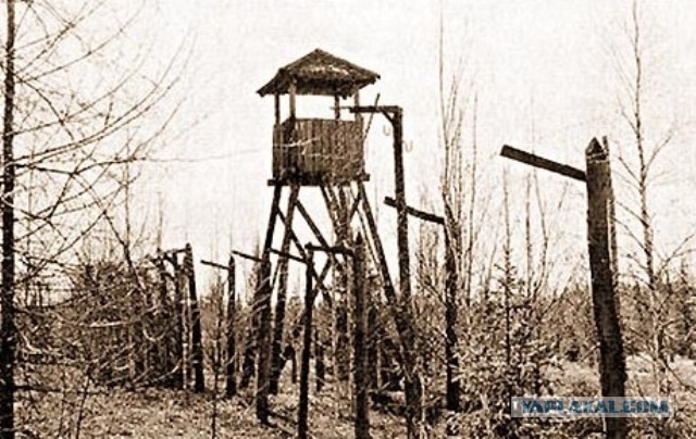 Тамбовский волк тебе товарищ...