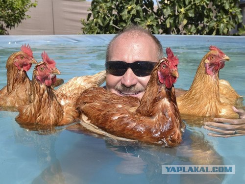 Картинки из соцсетей