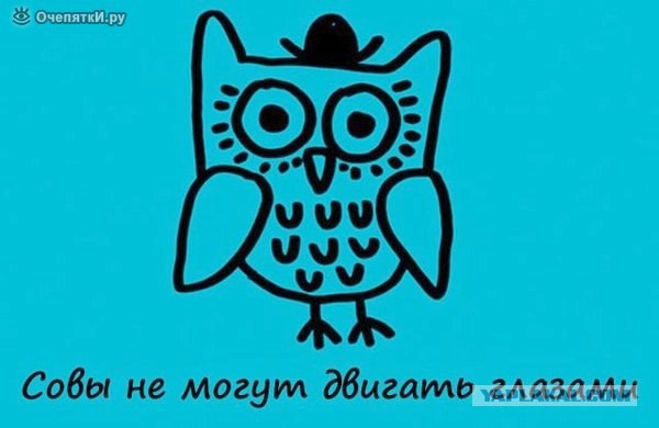 Интересные факты о разном