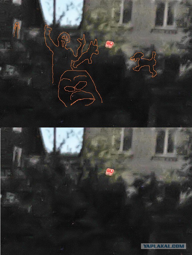 Вышел ночью на даче из дома и
