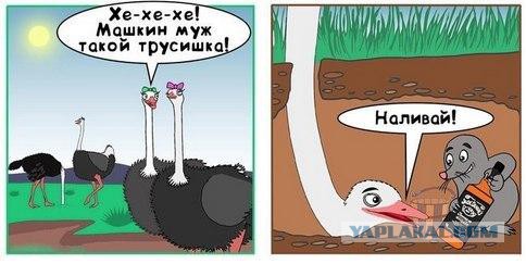 Ужасы и приколы из соцсетей 18+