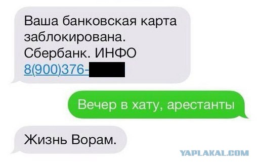 Картинки из интернета