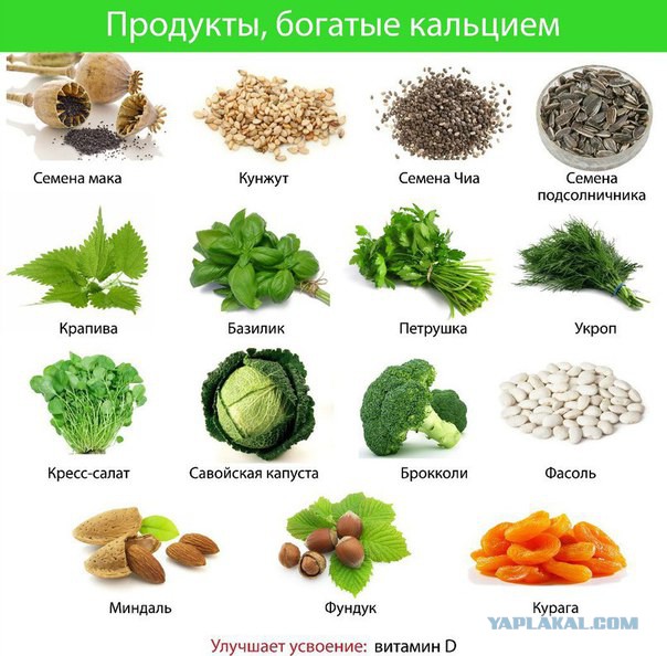 А обязательно всем говорить, что ты веган?