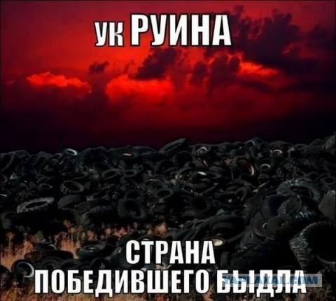 Новый перл Виталия Кличко