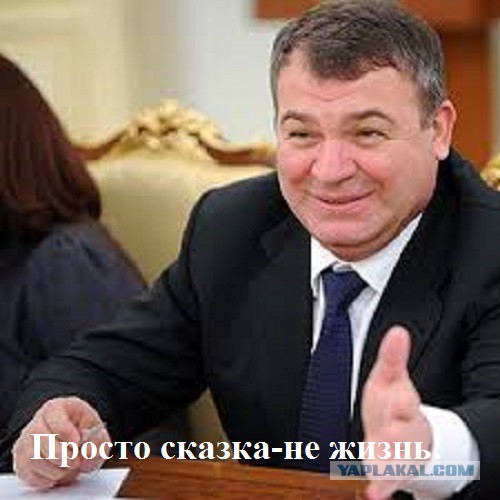 Сердюков стал индустриальным директором