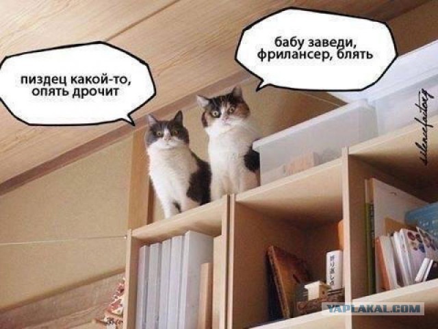 Мемы вспоминаем и добавляем....