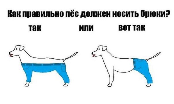 Подборка прикольных картинок