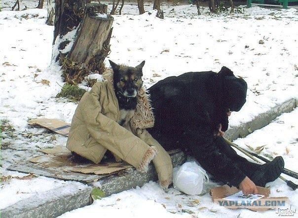 История Грея