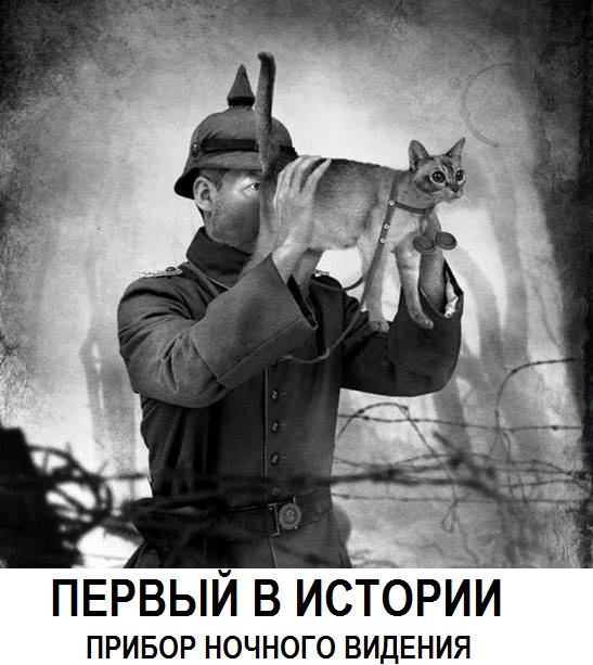 Подборка картинок