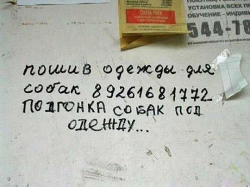 Народный креатив в вывесках, рекламах и пр.