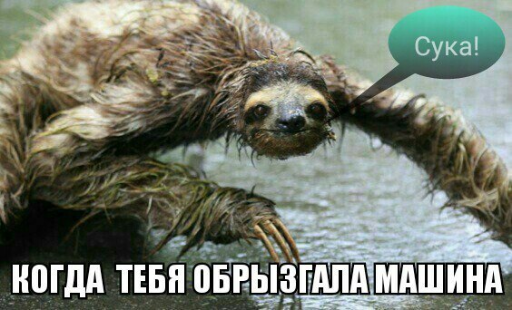 Смешные картинки