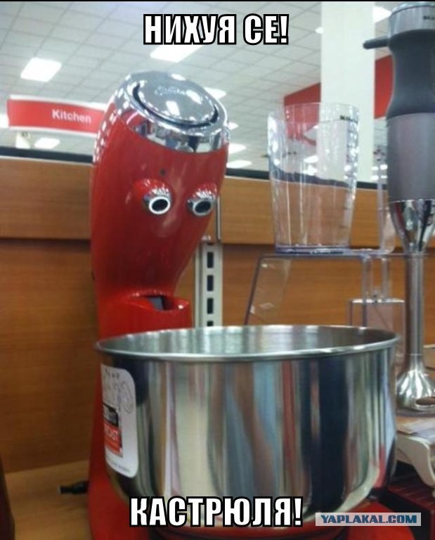 Они живые. Они смотрят на нас!