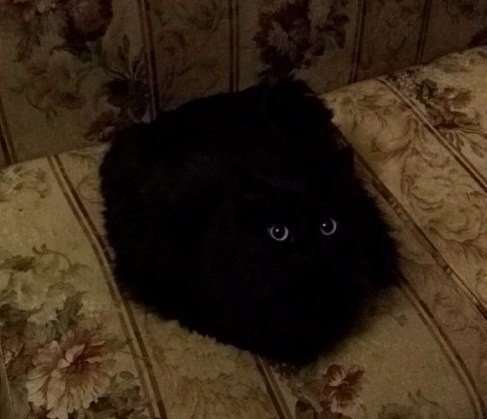 Подборка красивых картинок