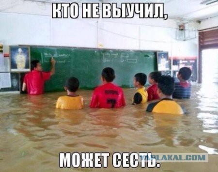 Картинки из сети