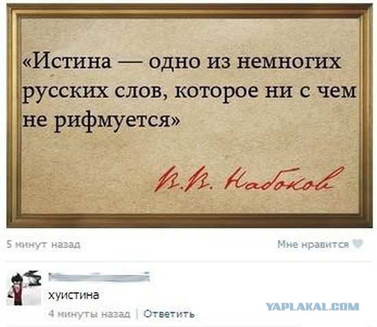 Смешные комментарии из социальных сетей 20.05.2016