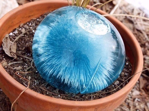 Картинки из сети