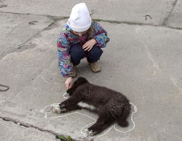 Спящие зверушки