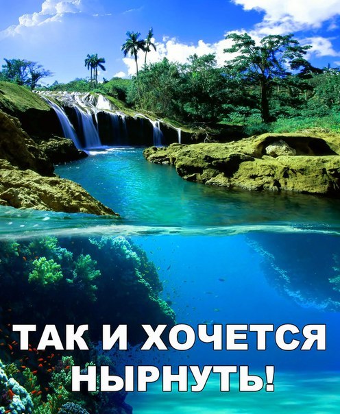 Порция картинок из сети