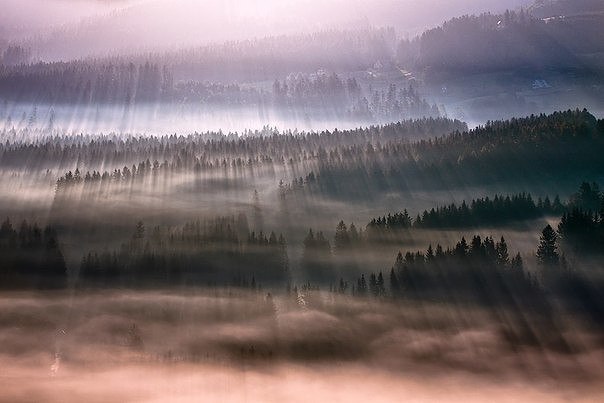 Картинки для отдыха глаз