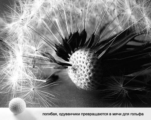 Креативные мысли