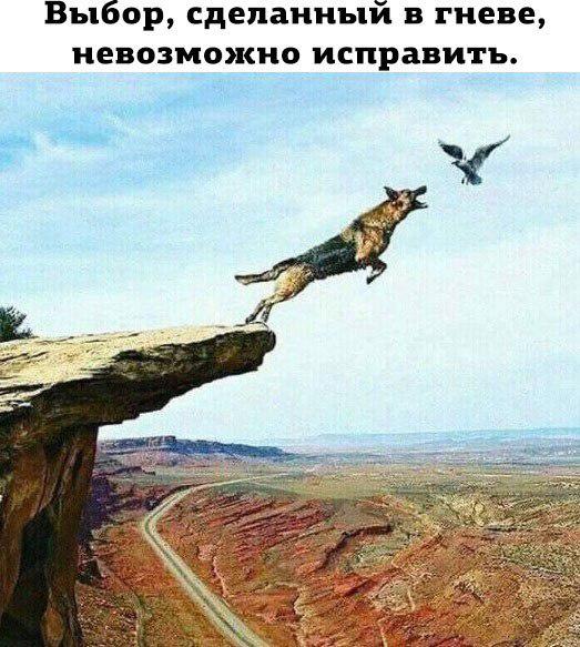 Картинки со смыслом и без - 4