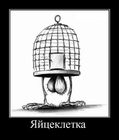 Просто веселые картинки. Иногда абсурдные, а иногда и с черным юмором
