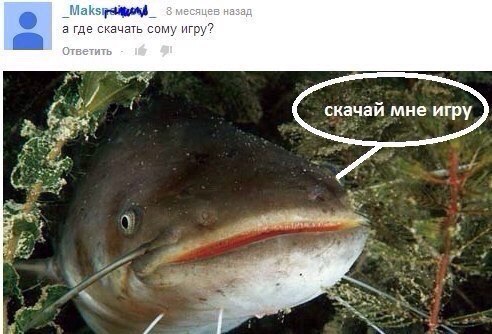 Сами с усами амурского сома