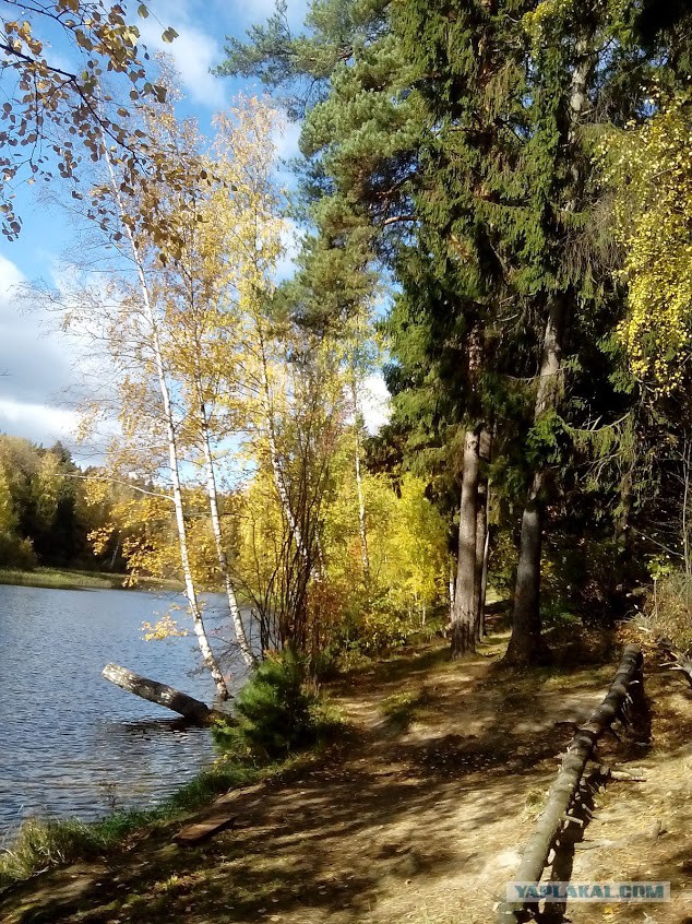 Просто Природа