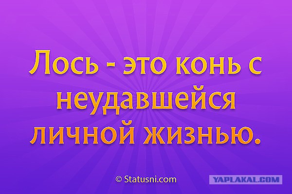 Подборка интересных и веселых картинок 28.11.18