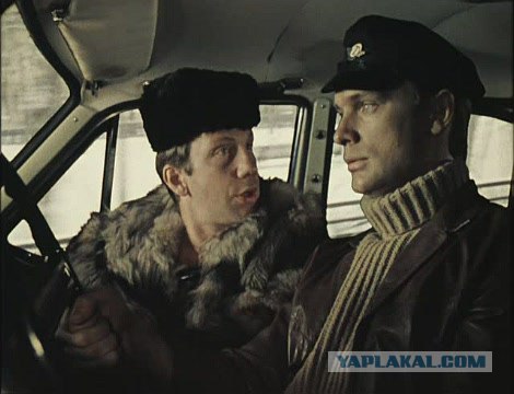 Спанглс - самый милый косоглазый кот в интернете