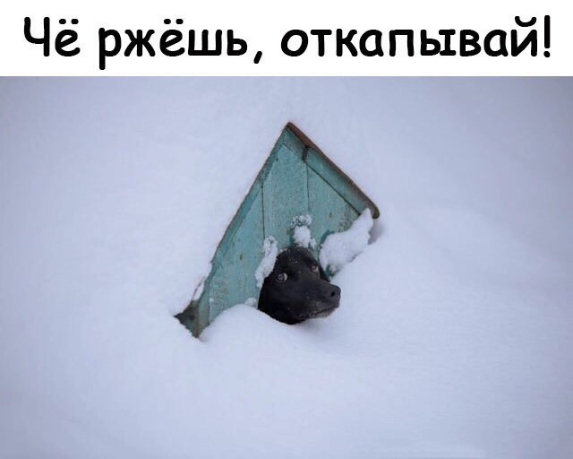 Немного картинок для настроения