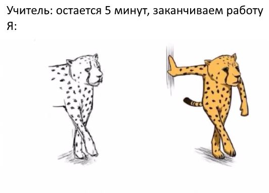 Каждый день
